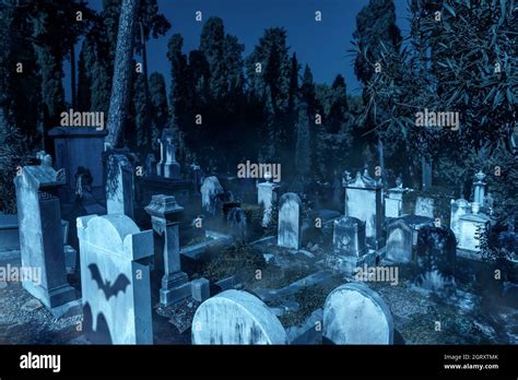 Cemetery In Forest On Halloween Scary Graveyard With Mist And Bats At