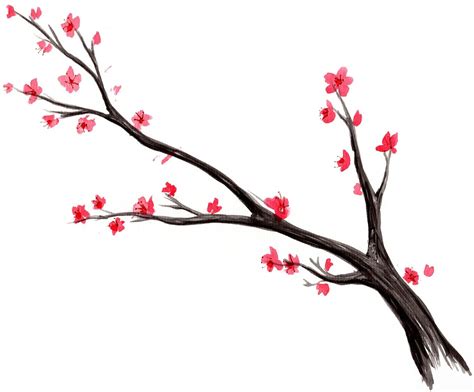 Cherry Blossom Tree Drawing Easy Cherry Blossom