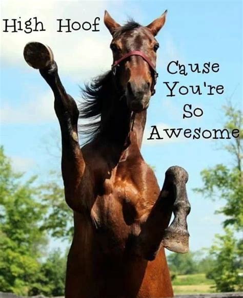 High Five You Made It To The Weekend Horsehumor Funny Horses