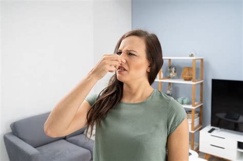 Whats That Smell Common Causes Of Ac Odors