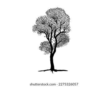 Black Branch Tree Naked Trees Silhouettes Stock Vector Royalty Free