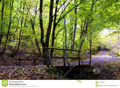 Autumn Forest In The Mountains Wooden Bridge Stock Photo Image Of