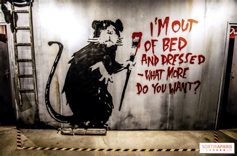 England ‘banksy And Animal Rights World Animals Voice