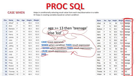 Proc Sql 3 Case When In Proc Sql Creating A New Variable In Proc