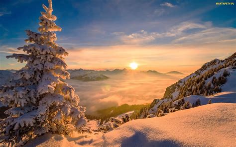 Tapety Zdjęcia Wschód Słońca Zima Świerk Mgła Ośnieżone Drzewo