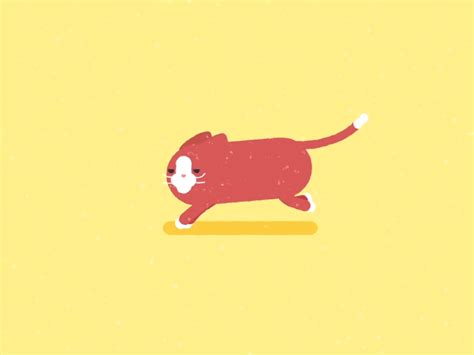Cat Run By Tigran Manukyan For Renderforest On Dribbble