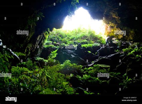 Entrance To Natural Caves With Lush Greenery Stock Photo Alamy