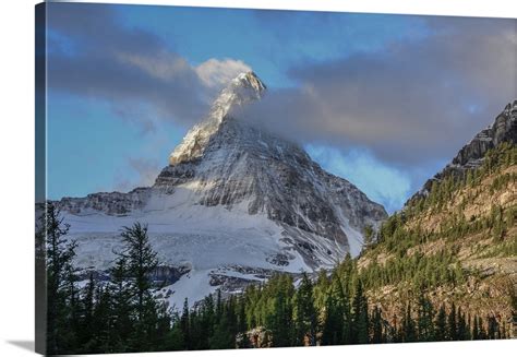 Mount Assiniboine Seen From Sunburst Lake Wall Art Canvas Prints