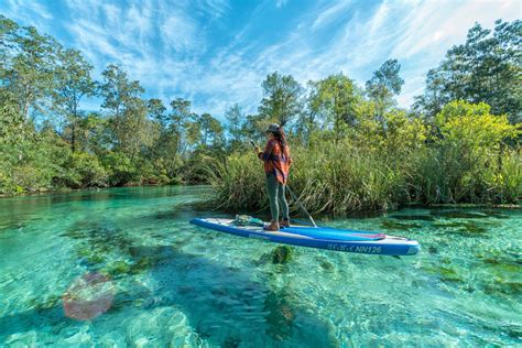 Paddleboarding In Florida 2023 Guide Hydrus Board Tech