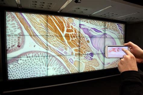 Multitouch Delivers Europes Biggest Interactive Wall For Research
