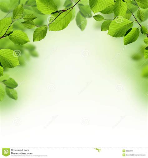 Green Leaves Border Background Stock Photo Image 39053996