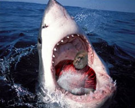 Shark Eating Large Man Sam Kane Flickr