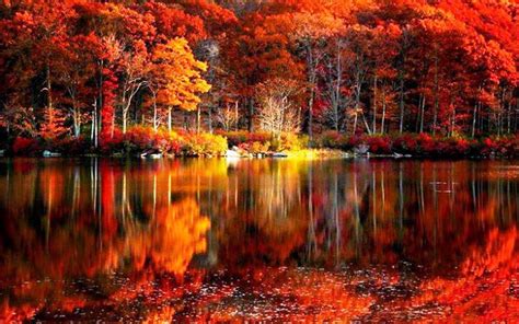 Fall Foliage River Autumn Red Lake Reflections Shore Beautiful Serenity