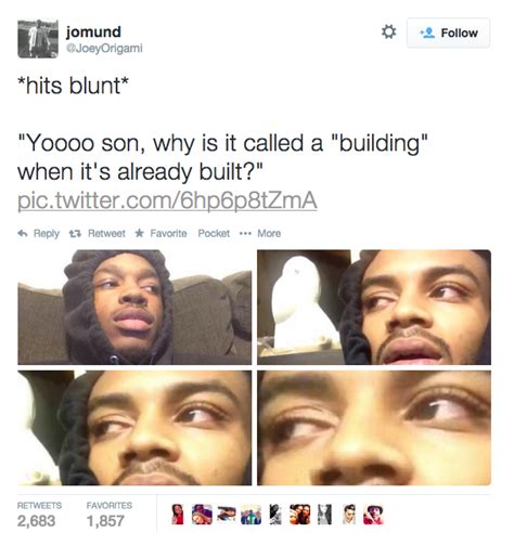 22 Of The Best Hits Blunt Memes Perfect For The Weekend Funny Gallery Ebaum S World