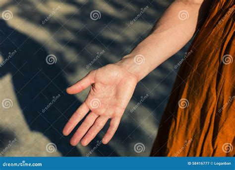 Palm Of Young Woman S Hand Stock Image Image Of Giving 58416777