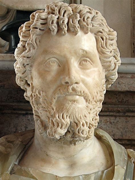 Septimius Severus Detail The Head Is Marble The Bust Is Yellow