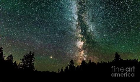 Forest Milky Way Photograph By Willard Sharp