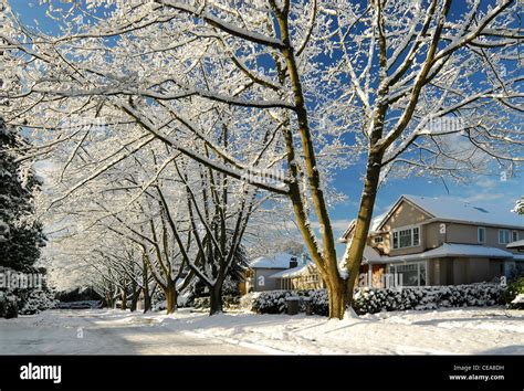 Vancouver Shaughnessy Neighbourhood Residential Homes Covered By Snow