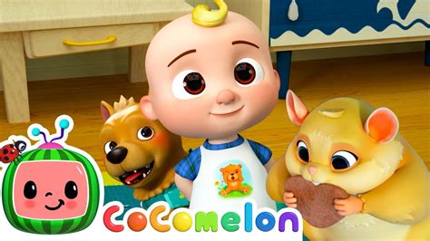 Pet Care Cocomelon Furry Friends Animals For Kids Youtube