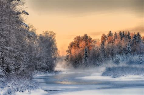 Winter Finland Trees Landscape Nature Snow Ice Hd