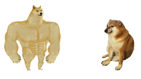 Looking for the best wallpapers? Swole Doge vs. Cheems (aka strong doge and weak doge) HD Template Restored - (thanks & all ...