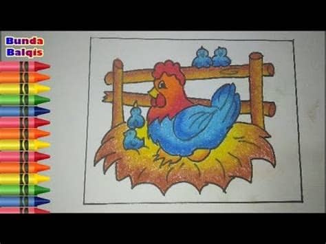CARA MENGGAMBAR & MEWARNAI GAMBAR AYAM KARTUN - YouTube
