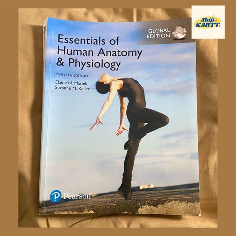 Essential Of Human Anatomy And Physiology 12th Edition Global Edition