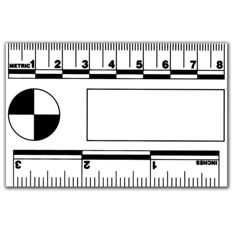 Actual Size Forensic Ruler Printable Printable Word Searches