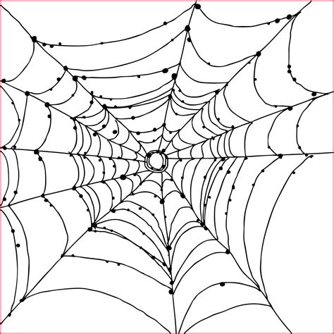 Simple Spider Web Drawing At Explore Collection Of