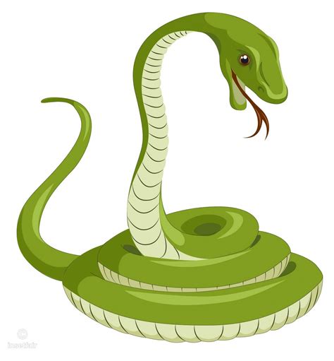 Snake Vector Art Photos Cantik