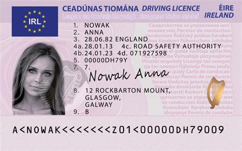 Fake Irish Driving License Template Delaceto