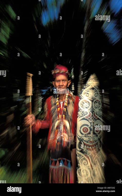 Kalimantan A Dayak Chief Of A Tribe In Traditional Attire Stock Photo