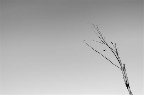 Minimalism In Photography The Good And Bad