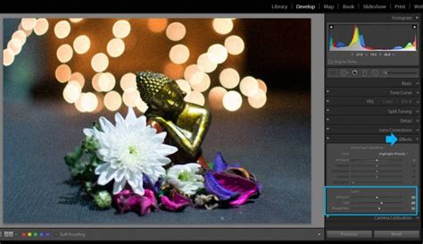 Low Light Photography Without Flash Expert Tips For