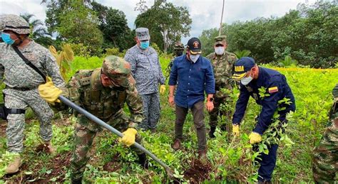 Gobierno Afirma Que Cumplió Meta De Erradicación De Cultivos Ilícitos