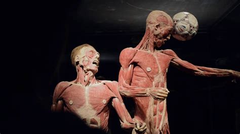 Day 3 would be leg day which will also give your upper body muscles a nice break. BODY WORLDS Vital exhibition Cape Town - YouTube