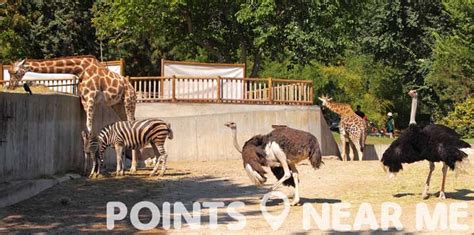 Up to 30% off on zoo / animal park at pacific animal productions. ZOO NEAR ME - Points Near Me