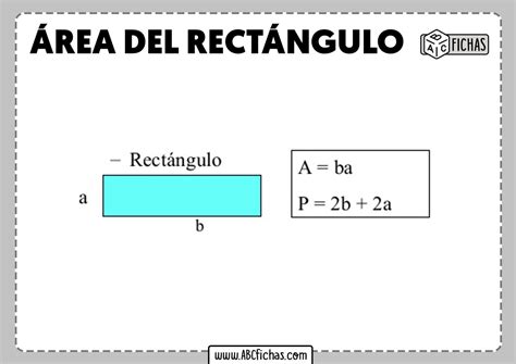 Como Se Calcula 2/3