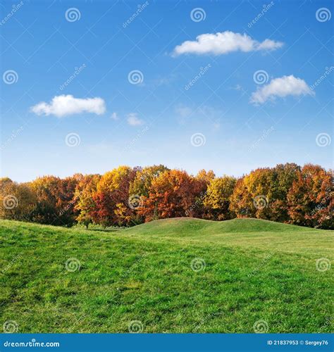 Green Lawn And Colorful Autumn Trees Stock Image Image Of Background