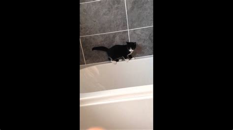 Cat Slips Into The Bath Youtube