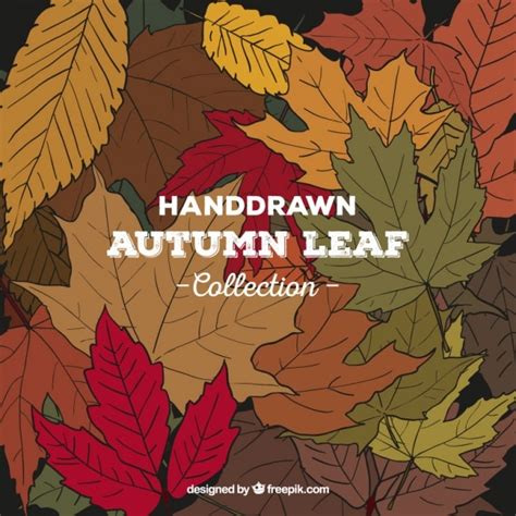Free Vector Background Of Hand Drawn Autumn Leaves
