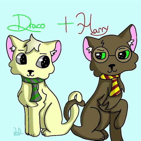 Drarry Cat Version Owo Harry Potter Amino