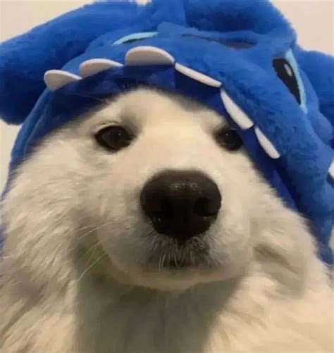 Find More Iconspfps Like This On Our Discord Discordggfyh Follow Me