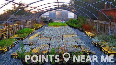 They are designed to be places of beauty that remind us of our lord and lady, allowing us to experience god's creation, and inviting prayer and contemplation. NURSERIES NEAR ME - Points Near Me