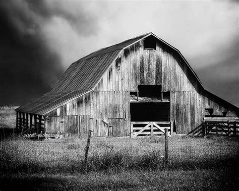 A typical waikato country scene with the barn and wild. Rustic Barn Print 11x14 Black & White Film Photograph Fine