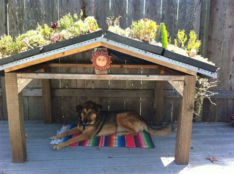 Solar installers can customize installations for your property based on shading, among several other factors, to give you the best and most appropriate solar setup. Image result for dog shelter garden | Diy dog kennel, Dog ...