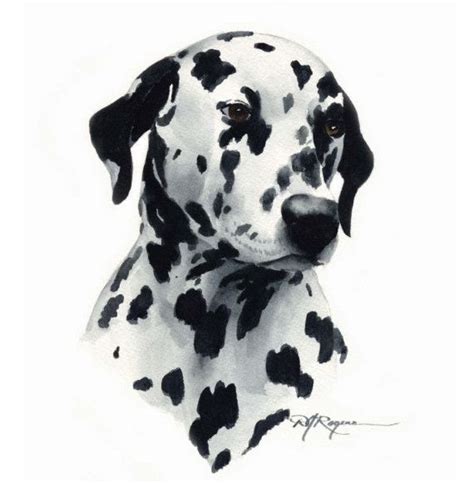 Dalmatian Dog Art Print By Artist Dj Rogers Etsy Dog Print Art Dog