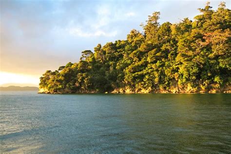 A Morning At Ship Cove Queen Charlotte Sound Marlborough Sounds New