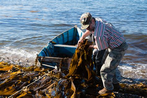 Trillium health care works hard to offer employees comprehensive benefits, including competitive pay, excellent insurance coverage, career mentoring and many other great perks. The Ocean Inspires Maine Dermatologist to Create Skin Care ...