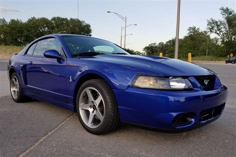 3500 Mile 2003 Ford Mustang Svt Cobra For Sale On Bat Auctions